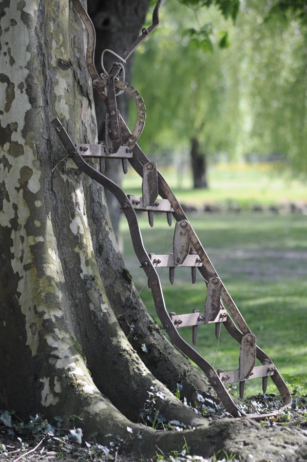 Domaine Ramonjavel, Glamping & Alpaca'S Bed & Breakfast Fongrave Luaran gambar