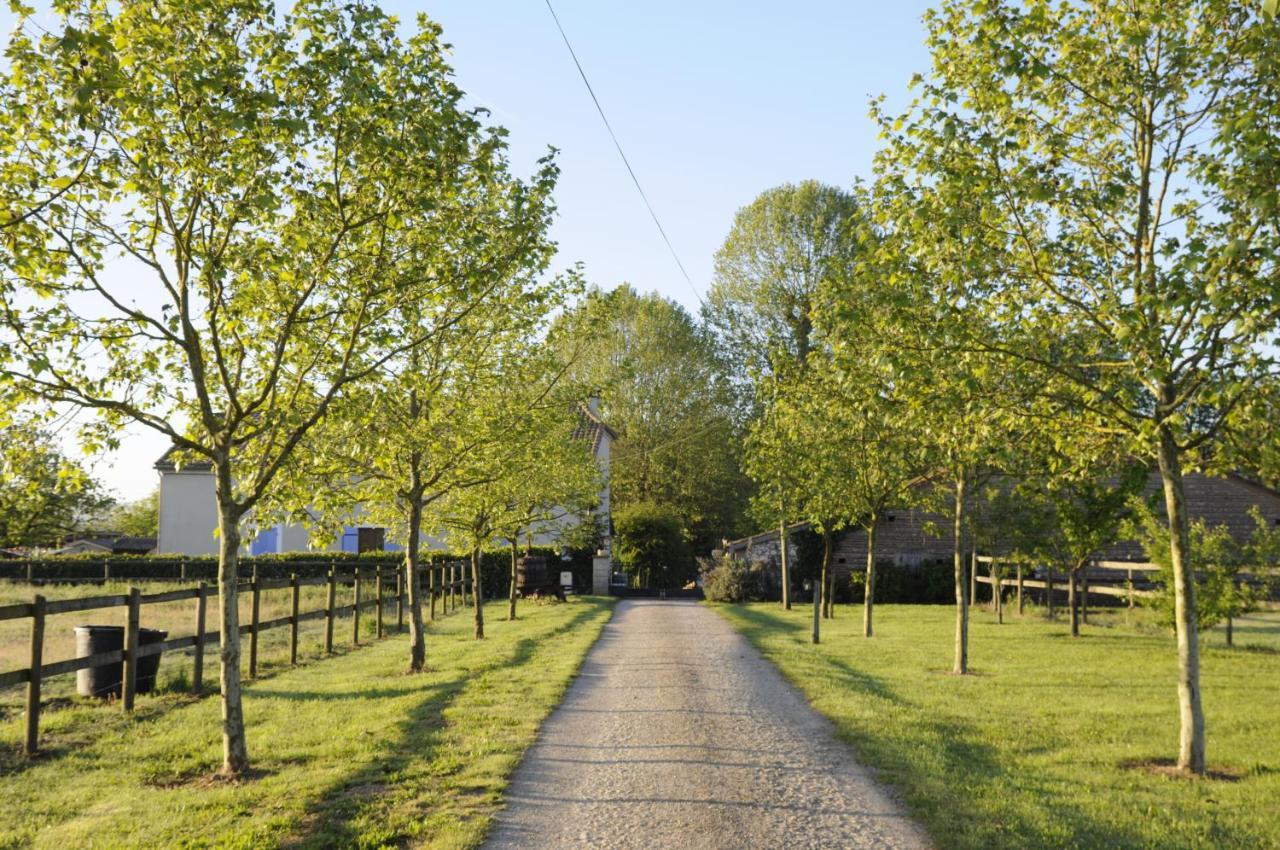 Domaine Ramonjavel, Glamping & Alpaca'S Bed & Breakfast Fongrave Luaran gambar