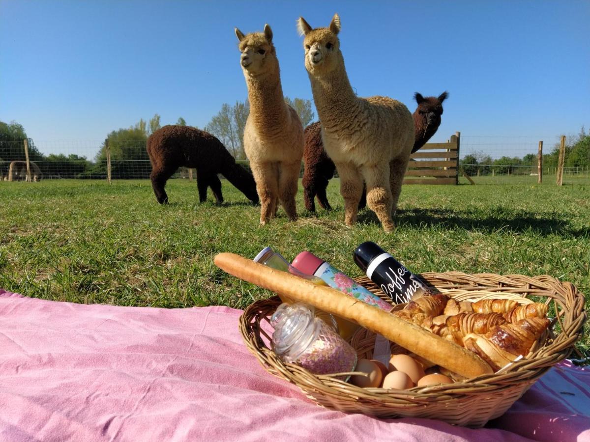 Domaine Ramonjavel, Glamping & Alpaca'S Bed & Breakfast Fongrave Luaran gambar