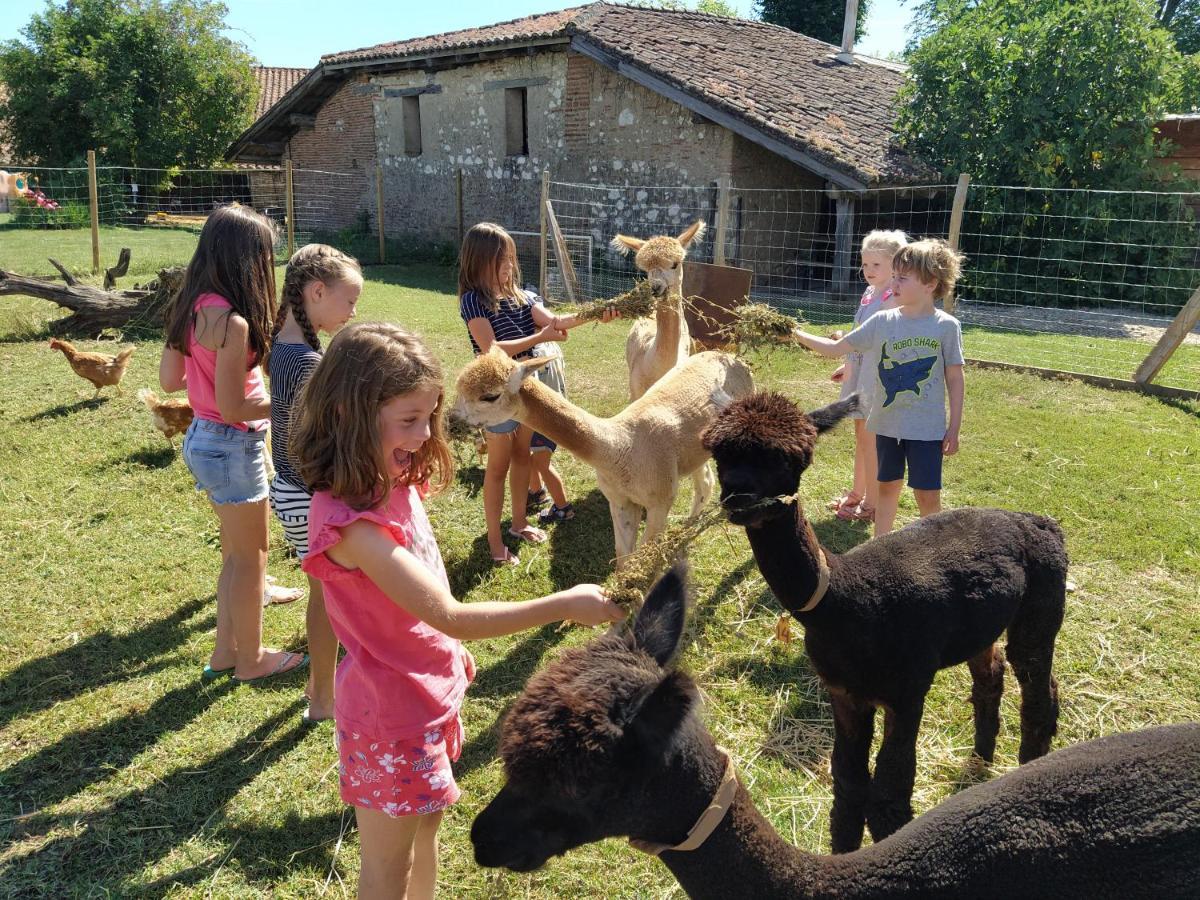 Domaine Ramonjavel, Glamping & Alpaca'S Bed & Breakfast Fongrave Luaran gambar